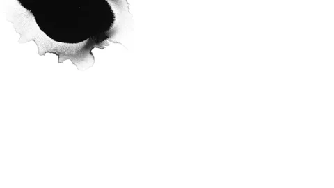 Ink Bloom on white Ink bleed Bloom. Stock Footage 102289972