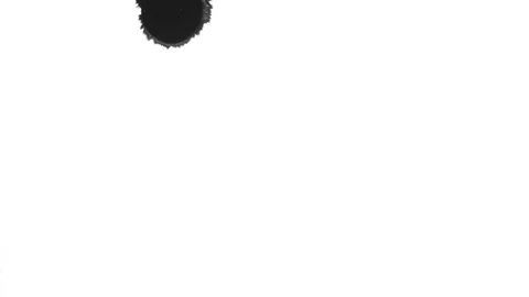 Ink Bloom on white Ink bleed Bloom. Stock Footage 102290399