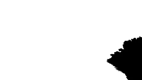 Ink Bloom on white Ink bleed Bloom. Video stock 102290801