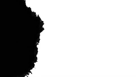 Ink Bloom on white Ink bleed Bloom. Stock-Footage 172427357