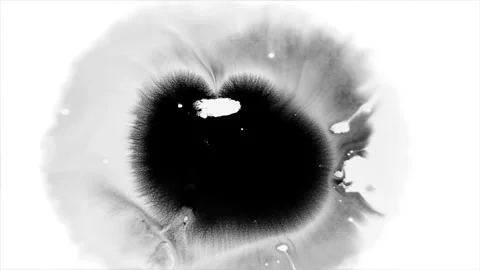Ink Bloom on White Ink Bleed Bloom 21 Stock Footage 321731440