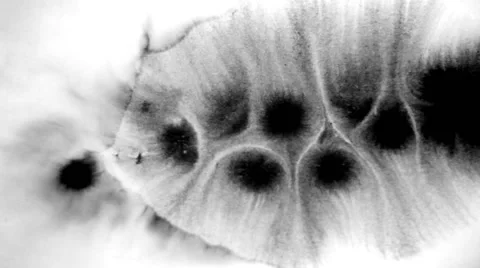 Ink Blot On Paper Video stock 52728024