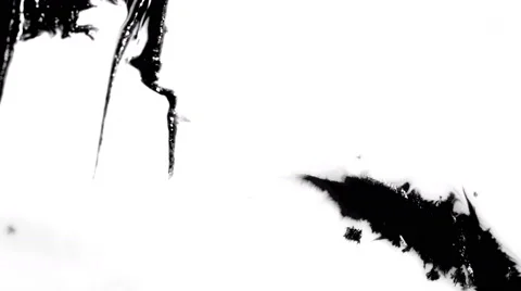 Ink blots in 4K UHD. Stock Footage 64737705