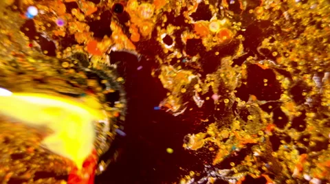 Ink Bubbles In Water. 스톡 동영상 50939120