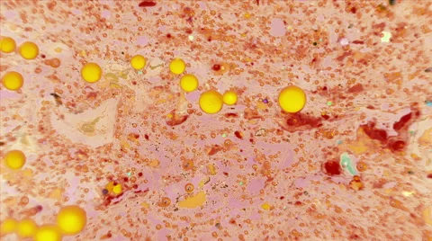 Ink Bubbles In Water. Stock Footage 50948204