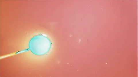 Ink Bubbles In Water. Stockbeeldmateriaal 50989987