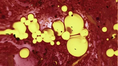 Ink Bubbles In Water. 스톡 동영상 50994660