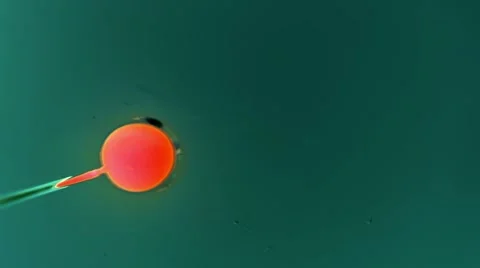 Ink Bubbles In Water. 動画素材 50996624