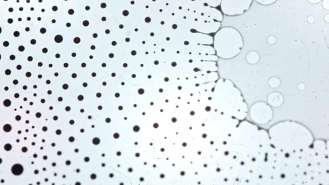 Ink Cluster of Black Droplets on Pale Chemical Surface Stock Footage 345455273