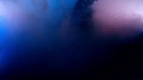 Ink color splash in water slow motion, Ink drop in water background. Stock Footage 101071126