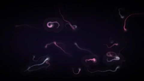 Ink Diffusion In Water Loop - Organic Fluid Morphing Backdrop Stock-Footage 341955778