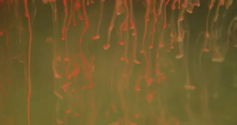 Ink drip blend blur paint mix drops fluid smoke Stock Footage 303572993