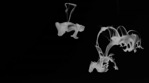 Ink Drop 03 Stock Footage 45854104