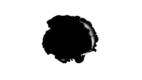 INK DROP 14  Stock Footage 138042726