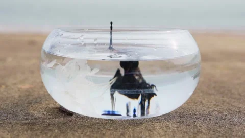 Ink drop and dissolve into a bowl of water at beach, daytime Stock Footage 301668168