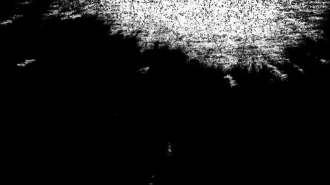 Ink Drop and Spread like Veins Stock Footage 313306248