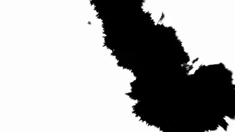 Ink Drop Black Leaking and Spreading Blemish isolated on Black Background Stock Footage 212155196