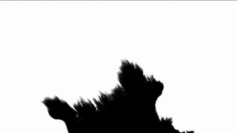 Ink Drop Black Leaking and Spreading Blemish isolated on Black Background Stock Footage 212156449