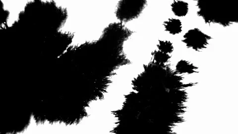 Ink Drop Black Leaking and Spreading Blemish isolated on Black Background Stock Footage 212156481