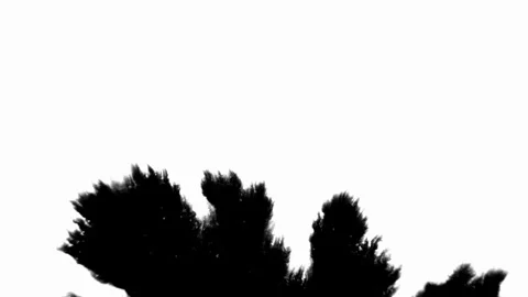 Ink Drop Black Leaking and Spreading Blemish isolated on Black Background Stock Footage 212156943