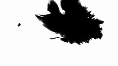 Ink Drop Black Leaking and Spreading Blemish isolated on Black Background Stock Footage 212158260