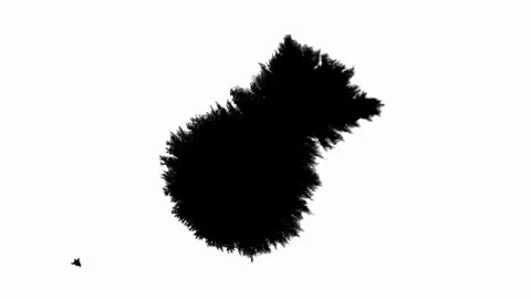 Ink Drop Black Leaking and Spreading Blemish isolated on Black Background Stock Footage 212158716