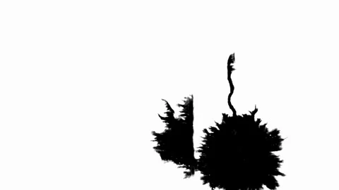 Ink Drop Black Leaking and Spreading Blemish isolated on Black Background Stock Footage 212159855