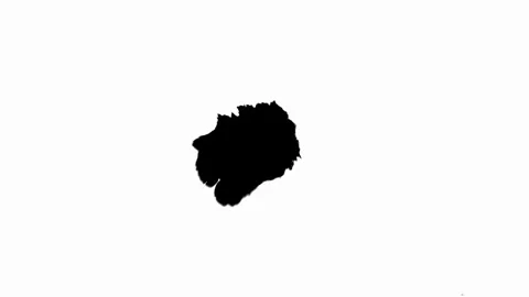 Ink Drop Black Leaking and Spreading Blemish isolated on Black Background Stock Footage 212161642