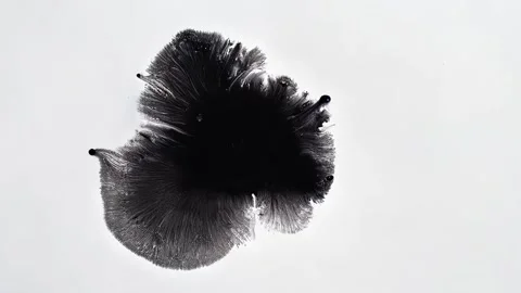 Ink drop blooms into soft organic shape with frilled edges Stock Footage 308732628