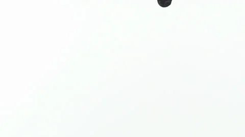 Ink Drop Stock Footage 36772431