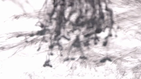 Ink Drop Stock Footage 36772591