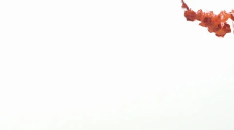 Ink Drop Stock Footage 36773564