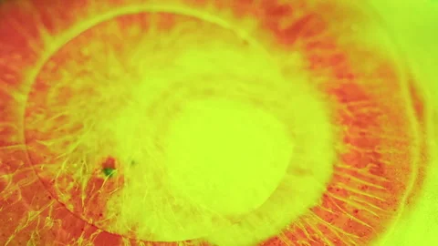 Ink drop paint water blend yellow red fluid mix Vídeos de archivo 266962425