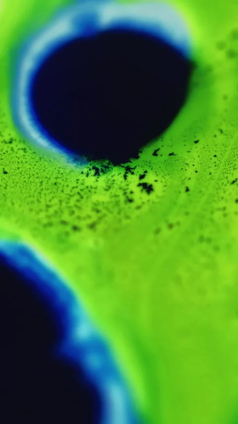 Ink drop paint water flow green blue fluid mix Video stock 274624067