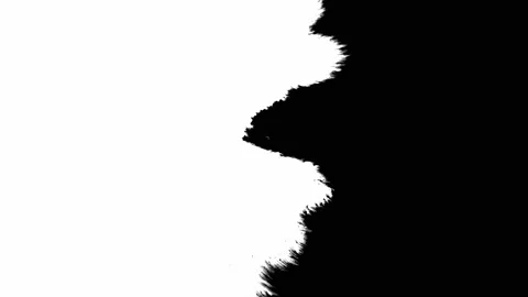 Ink drop on white black background footage, Ink footage Stock Footage 156744957