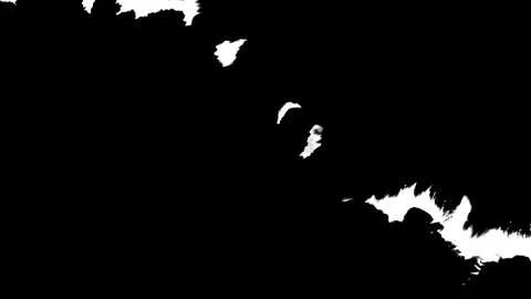 Ink drop on white black background footage Vidéo 172427454