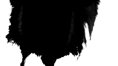 Ink drop in white paper Stock Footage 101186972