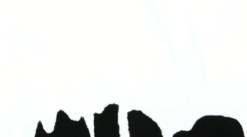 Ink Drops Видео 11307925