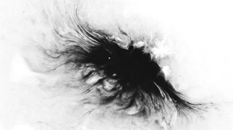 Ink Drops Stock-Footage 37102106