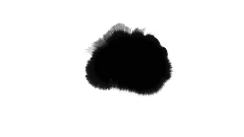 Ink drops on white Ink Bleed Bloom Black expanding Stock Footage 87233321