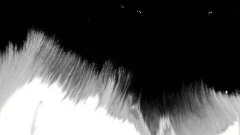 Ink drops on white surface. Stock Footage 85661652