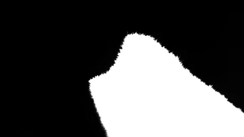 Ink fill the screen, transition mask Video stock 102396736