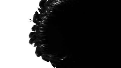 Ink fill white background, transition. 動画素材 115551672