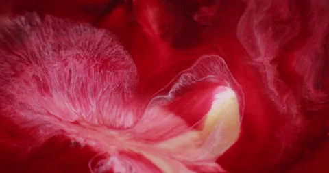 Ink flow stream art paint water fluid emulsion Video stock 313643110