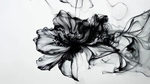 Ink flower 스톡 동영상 301359038