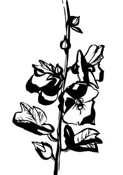 Ink flowers on stem Stock Illustration