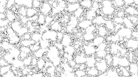 Ink Fluid Texture Effect with Banding 스톡 동영상 153765079