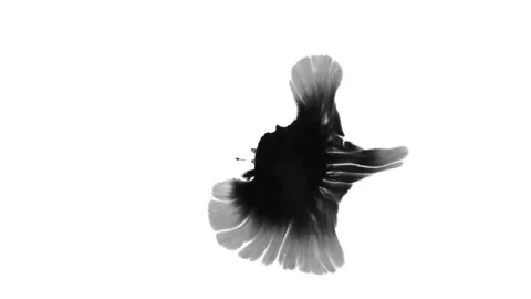 Ink Stock Footage 134067831