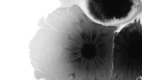 Ink Stockbeeldmateriaal 134068063