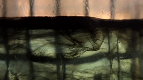 INK  Stock Footage 299604539